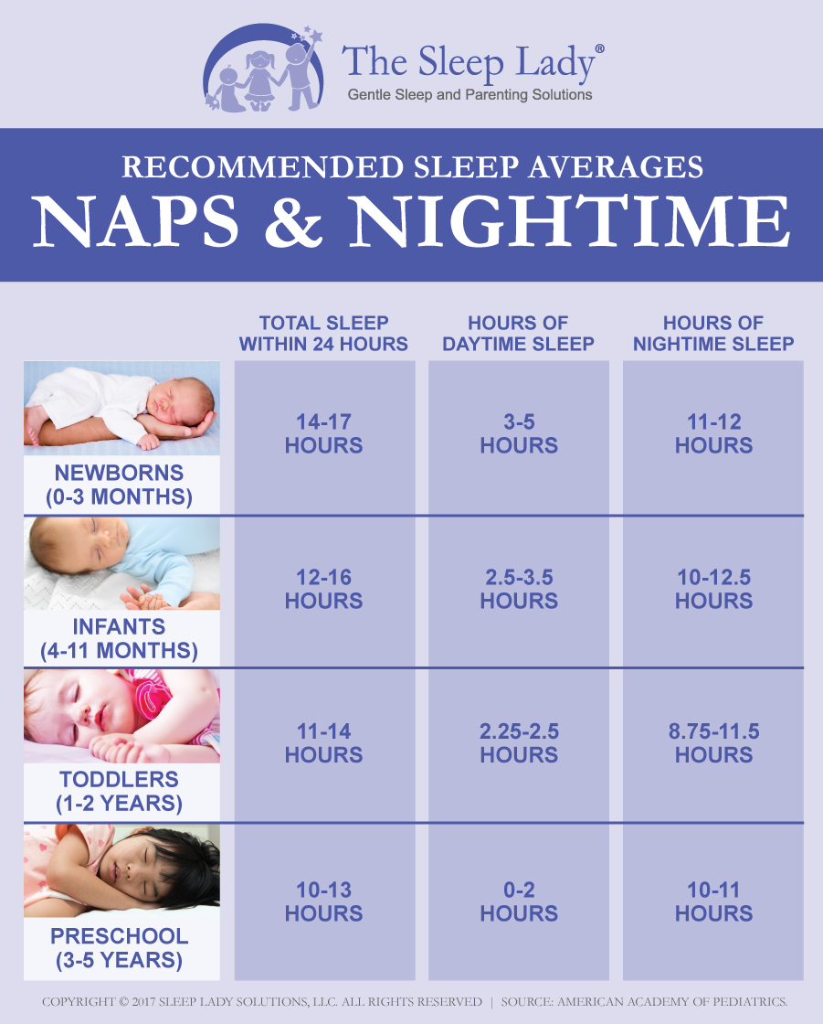 11+ How Long Do Babies Nap At 1 Year Ideas - BABBIESUJ