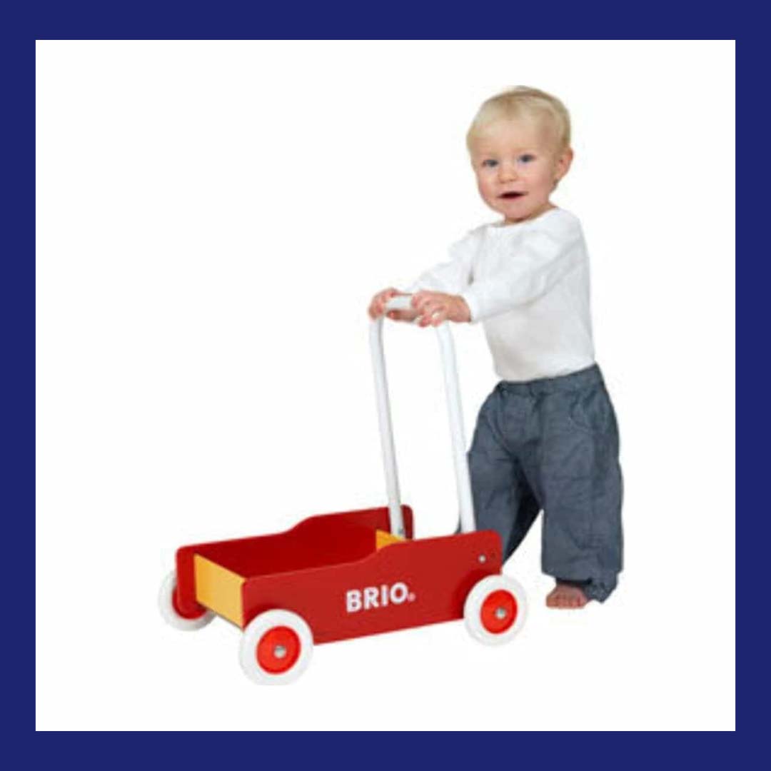 Walking Toy 
